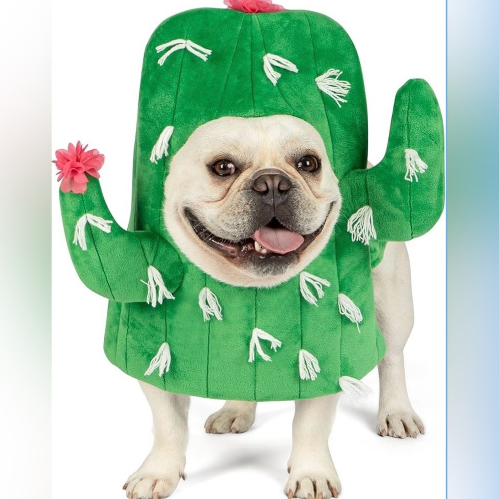 🌵 Cyeollo Cactus Dog Costume – Medium – Soft, Funny, Machine Washable 🌵